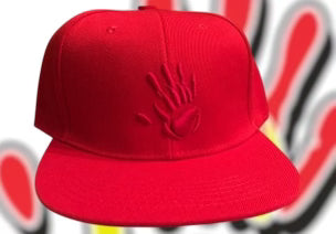 NTV BST flat bill snap back hat