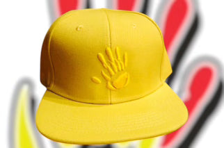 NTV BST flat bill snap back hat